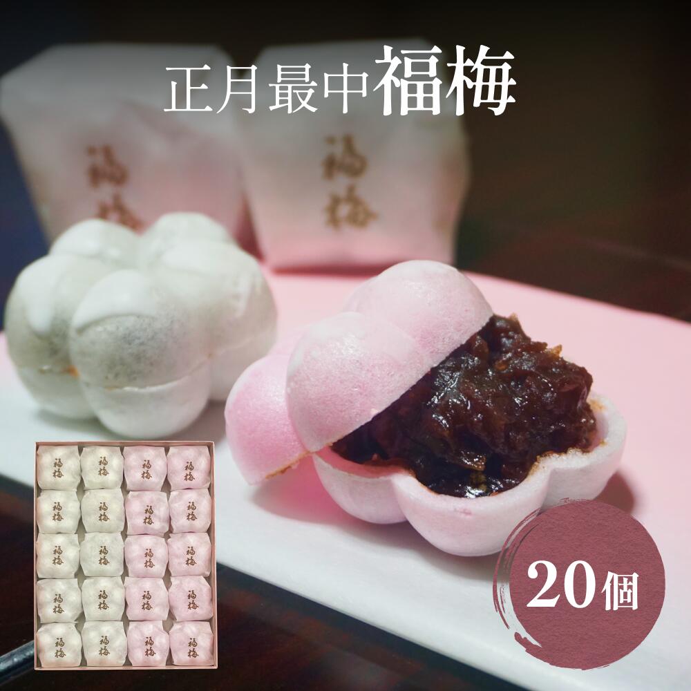 【ふるさと納税】【年末お届け】井上菓子舗の手作り最中 福梅 20個 富山県 氷見市 福梅 最中 和菓子 年末 正月 お菓子のサムネイル