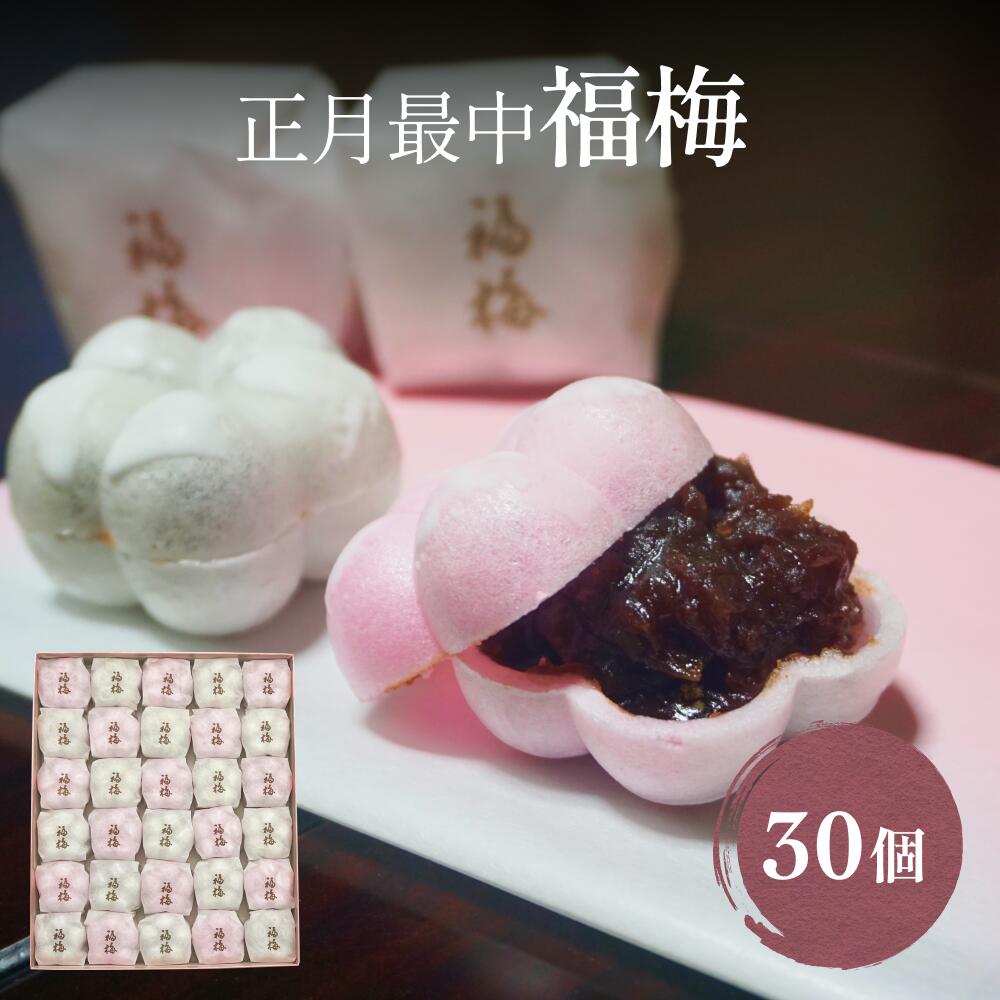 【ふるさと納税】【年末お届け】井上菓子舗の手作り最中 福梅 30個 富山県 氷見市 福梅 最中 和菓子 年末 正月 お菓子のサムネイル