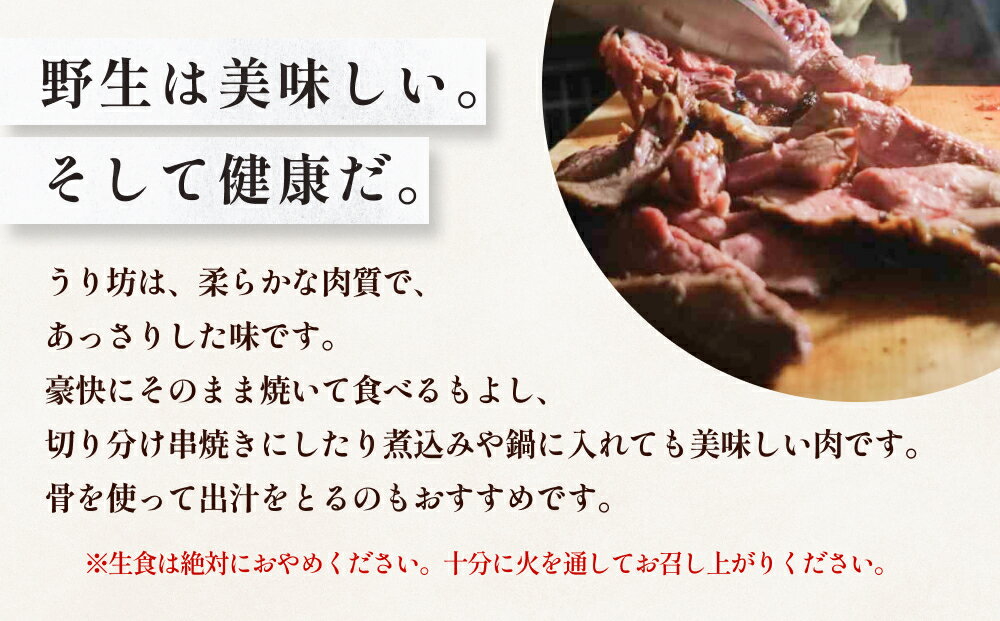 【ふるさと納税】＜先行予約＞うり坊　骨付き肉　半頭分（約3kg~4kg）＜11月以降順次発送＞　富山県 氷見市 猪 ジビエ ウリ坊 肉 BBQ 鍋