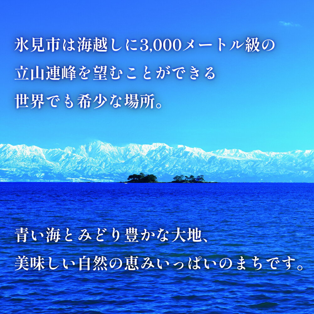 【ふるさと納税】富山県氷見市の対象施設で使える　楽天トラベルクーポン　寄付額100,000円(クーポン30,000円) |　氷見 富山 宿泊 温泉 ホテル 民宿