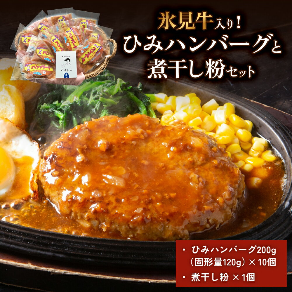 ひみハンバーグと煮干し粉のセット 富山県 氷見市 煮干 惣菜 調味料