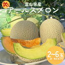 【ふるさと納税】【訳あり】 富山県産 アールスメロン(おまかせ計2-6個) 富山県 氷見市 メロン めろん 果物 くだもの フルーツ