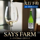 【ふるさと納税】<先行予約>SAYS FARM シードル 750×2本セット <2026年1月中旬以降順次発送> 富山県 氷見市 シードル 酒 りんご酒