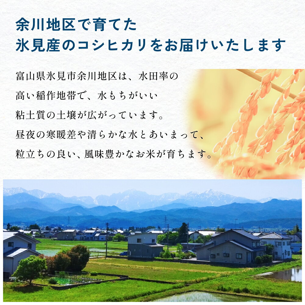 【ふるさと納税】 【3回 - 12回 定期便】富山県産 コシヒカリ 5kg