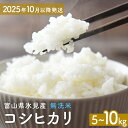 【ふるさと納税】コシヒカリ 無洗米 5-10kg 富山県氷見産 <2025年10月以降発送> 富山県 氷見市 米 コシヒカリ
