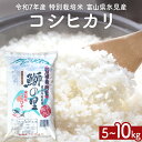 【ふるさと納税】【先行受付】令和7年産 特別栽培米 富山県産コシヒカリ 5kg 10kg <2025年9月中旬以降順次発送>