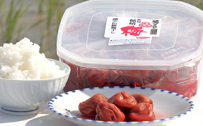 人気が高い ふるさと納税 越中伝統梅干し 氷見稲積梅 1kg 発酵食品 全ての Lgbthistorymonth Com 人気が高い ふるさと納税 越中伝統梅干し 氷見稲積梅 1kg 発酵食品 全ての Lgbthistorymonth Com