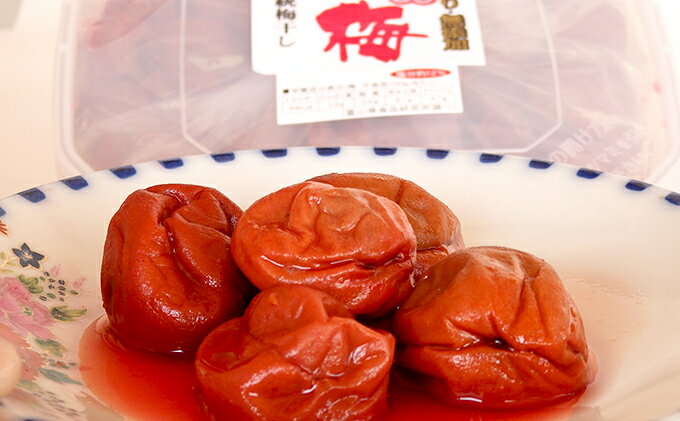 人気が高い ふるさと納税 越中伝統梅干し 氷見稲積梅 1kg 発酵食品 全ての Lgbthistorymonth Com 人気が高い ふるさと納税 越中伝統梅干し 氷見稲積梅 1kg 発酵食品 全ての Lgbthistorymonth Com