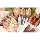 【ふるさと納税】氷見 堀与 地魚一夜干し5種と氷見鰤2種セッ...