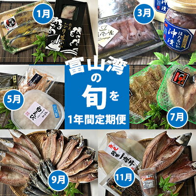 1年間定期便 富山湾の旬を食す 氷見ぶり 白えび ほたるいか のどぐろ など19種 奇数月6回お届け 定期便 魚貝類 干物 加工食品 魚介類 ぶり 白えび ほたるいか のどぐろ ふるさと納税バイブル 1年間定期便 富山湾の旬を食す 氷見ぶり 白えび ほたるいか のどぐろ など19種 奇数月6回お届け 定期便 魚貝類 干物 加工食品 魚介類 ぶり 白えび ほたるいか のどぐろ ふるさと納税バイブル