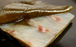 【ふるさと納税】富山名物　昆布〆セット　2種（鯛・いか）　【加工食品・タイ・鯛・魚貝類・イカ】 画像1