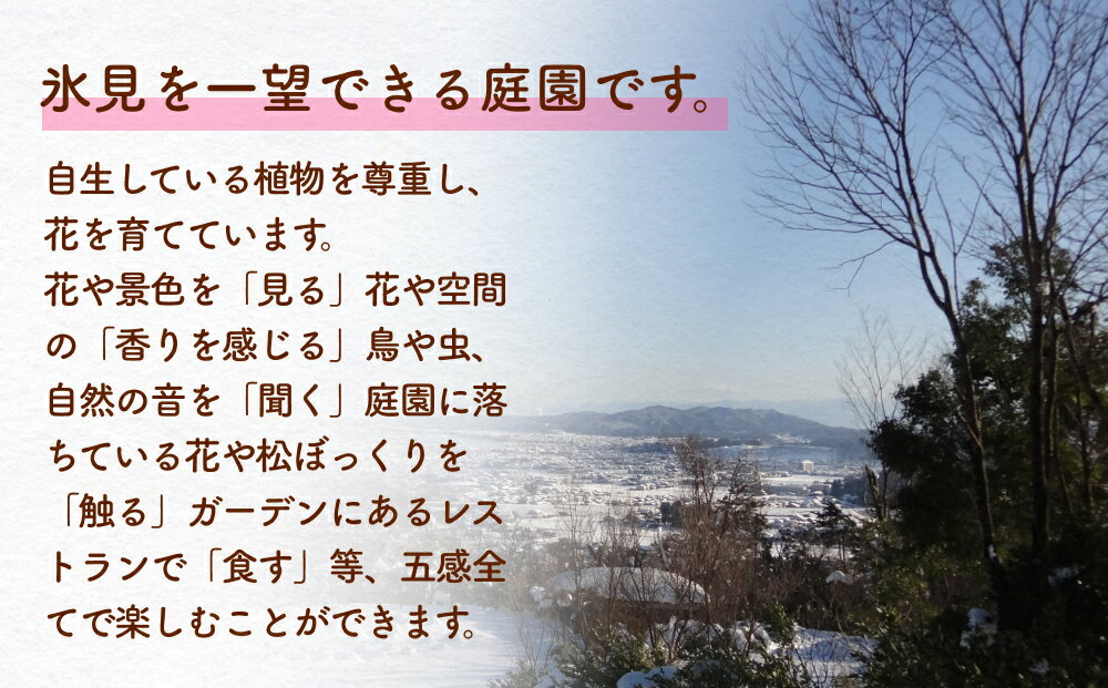 【ふるさと納税】氷見あいやまガーデン入場券ペアチケット（大人2枚）