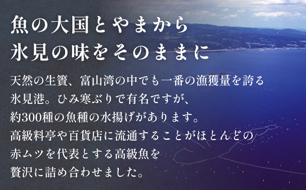 【ふるさと納税】氷見港朝獲れ高級魚！丸っと贅沢直送便！　船上氷上締め　神経〆処理 富山 氷見 直送 詰め合わせ 鮮魚ボックス 2