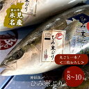 【ふるさと納税】【先行予約】ひみ寒ぶり朝どれ1本＜三枚おろし＞（神経抜〆8～10kg） 富山湾 寒ブリ 鰤 氷見 国産 寒鰤