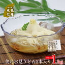 2位! 口コミ数「0件」評価「0」美乃氷見うどん5本入り（200g×5本） 富山県 氷見市 うどん 乾麺