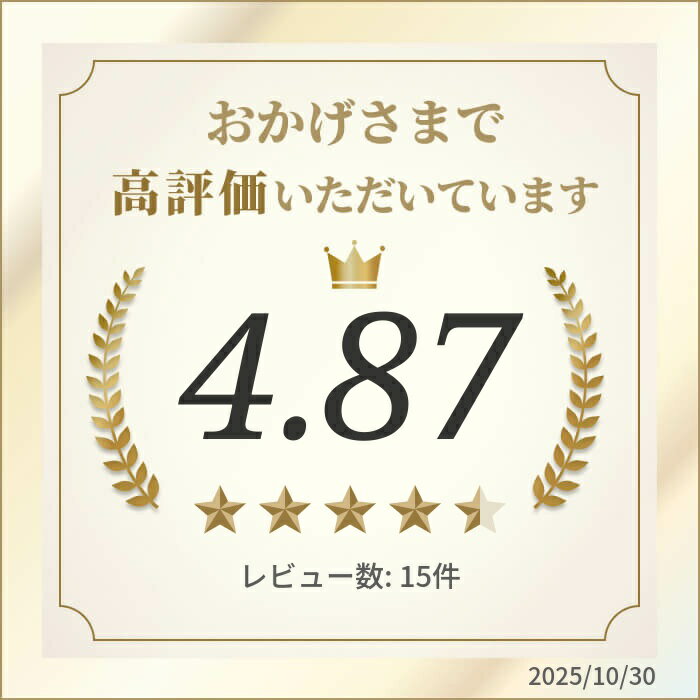 【ふるさと納税】 きときと特選一夜干し4種詰合せ《かます・あじ・いわし・するめいか》
