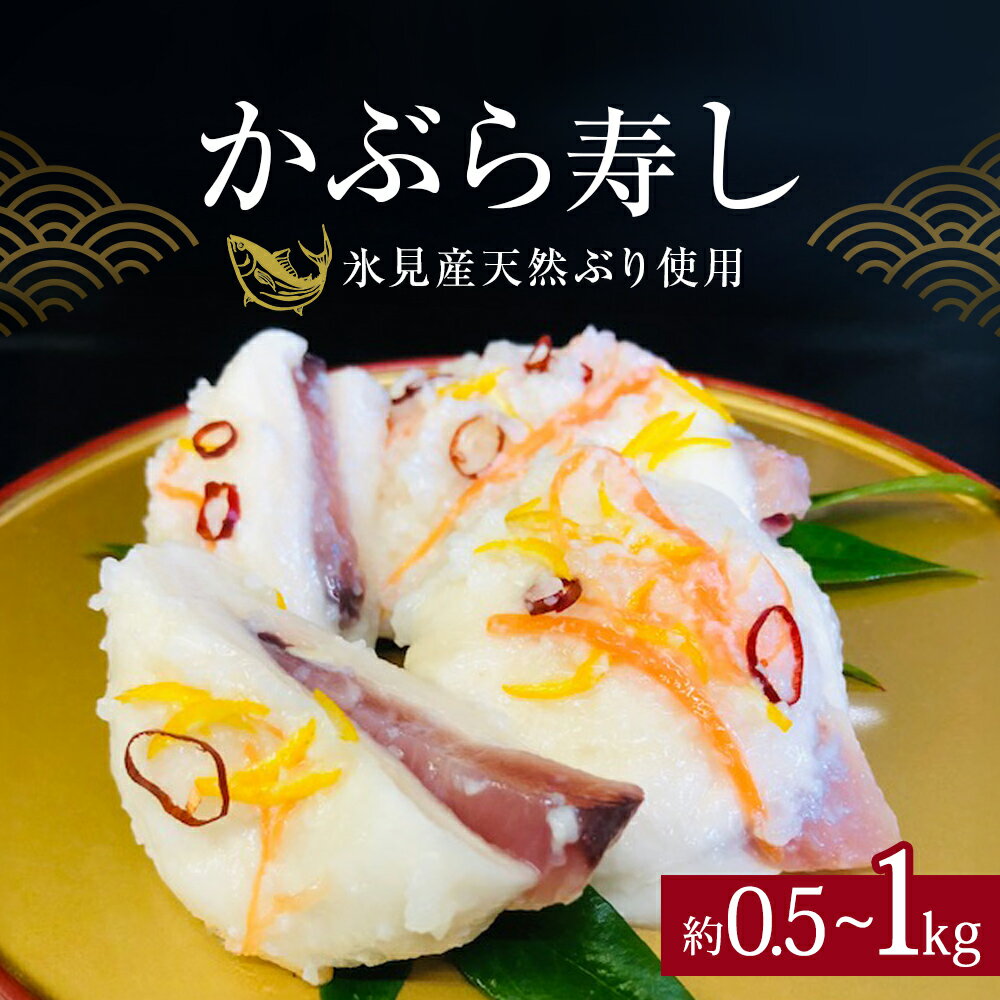 [先行予約] かぶら寿し約1kg 約500g 選べる [2025年11月下旬以降発送] 氷見産天然ぶり使用 ※配送地域限定 富山県 氷見市 能登 魚介類 加工食品 ブリ かぶら 寿し 漬物 郷土料理 発酵 期間限定