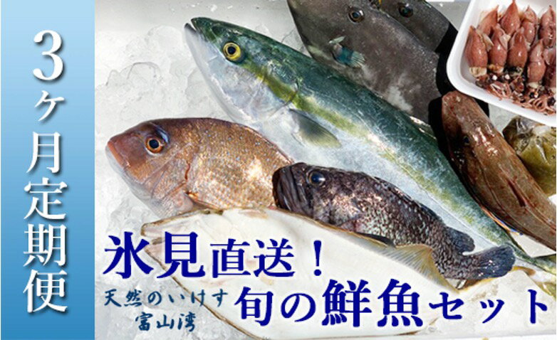 [3ヶ月定期便]天然のいけす 富山湾 氷見漁港直送! 旬の鮮魚セット 直送 鮮魚ボックス 富山 氷見 詰め合わせ