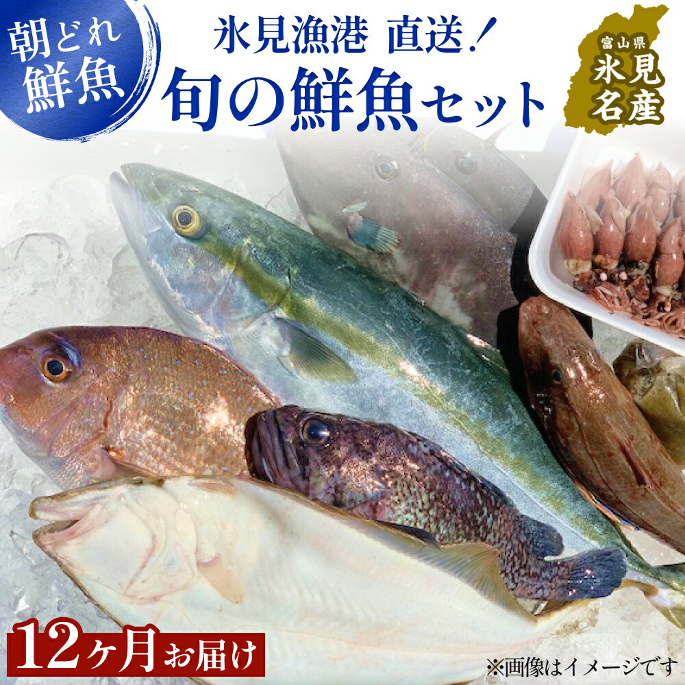 【ふるさと納税】【定期便12ヶ月 】天然のいけす 富山湾 氷見漁港 旬の鮮魚セット 直送 詰め合わせ 鮮..