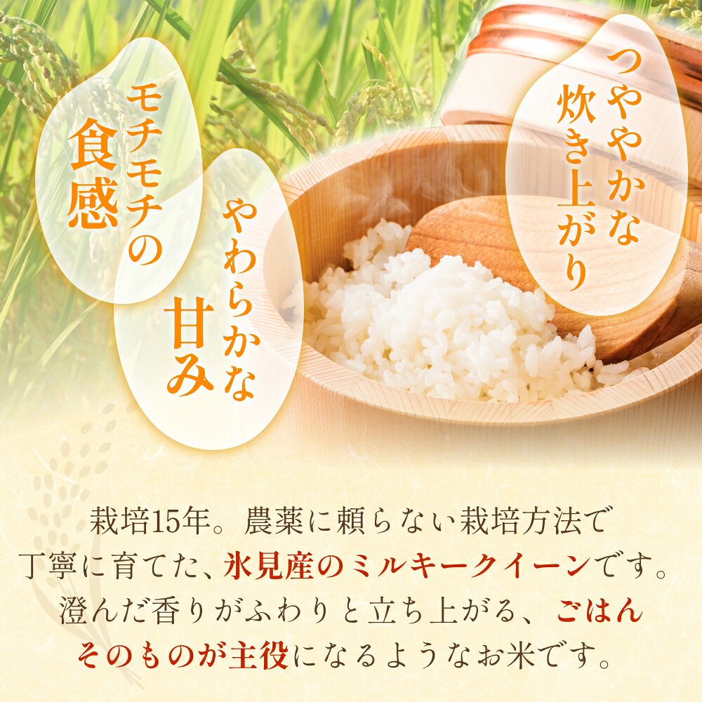 【ふるさと納税】令和7年産 富山県産 ミルキークイーン はさがけ米 無洗米 5kg 富山県 氷見市 米 ブランド米