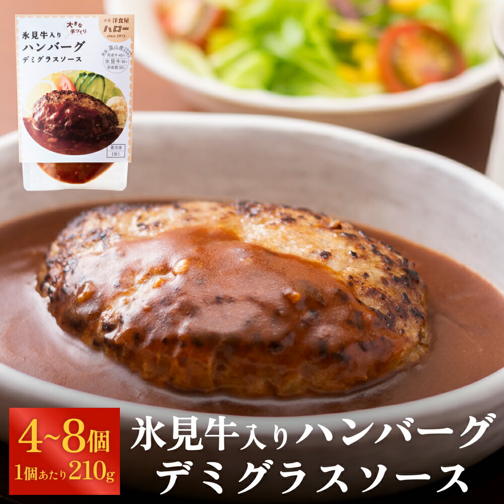 氷見牛入りハンバーグ(デミグラスソース) 4-8個