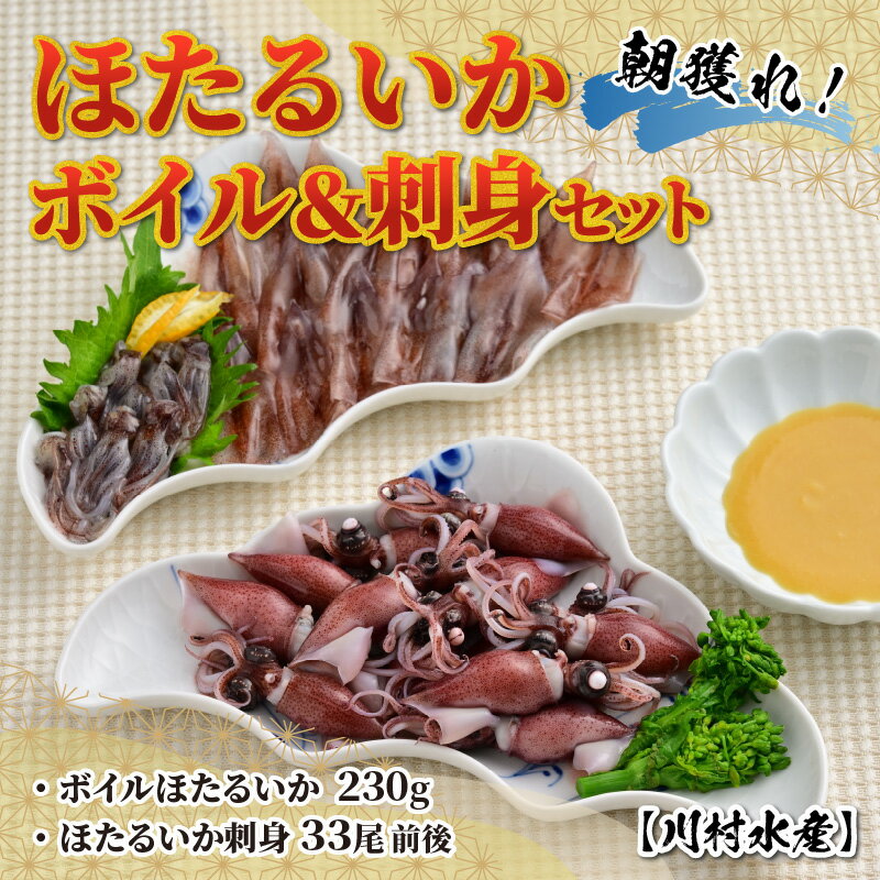 【ふるさと納税】【先行予約】ほたるいか ボイル＆刺身セット【川村水産】25年3月中旬以降順次発送 鶴瓶の家族に乾杯で放送5.13【能登半島地震復興支援】 / 冷蔵 ボイルホタルイカ ホタルイカ 海鮮 富山 滑川市 名産 観光 旬 期間限定 送料無料 国産