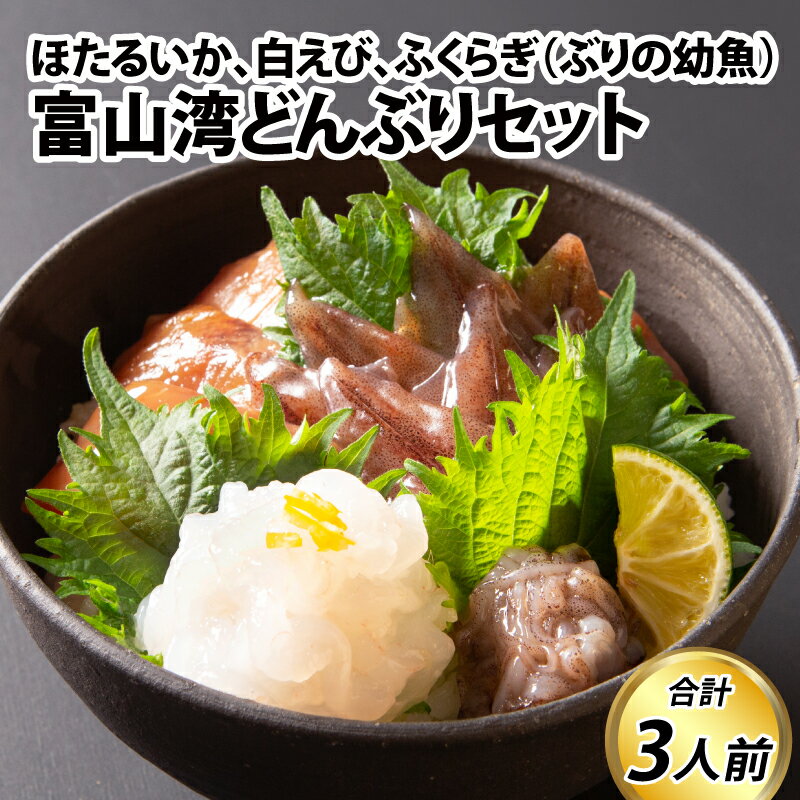 【ふるさと納税】海鮮丼 富山湾どんぶりセット 約3人前【数量限定】【能登半島地震復興支援】 / お歳暮 冷凍 朝どれ ほたるいか ホタルイカ 刺身 海老 白えび 白エビ ふくらぎ ブリ ぶり 漬け 観光 旬 ギフト お取り寄せグルメ 富山県 滑川市 国産 送料無料