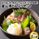 11位! 口コミ数「6件」評価「4.67」海鮮丼 富山湾どんぶりセット 約3人前【数量限定】【能登半島地震復興支援】 / お歳暮 冷凍 朝どれ ほたるいか ホタルイカ 刺身 海老 白･･･ 