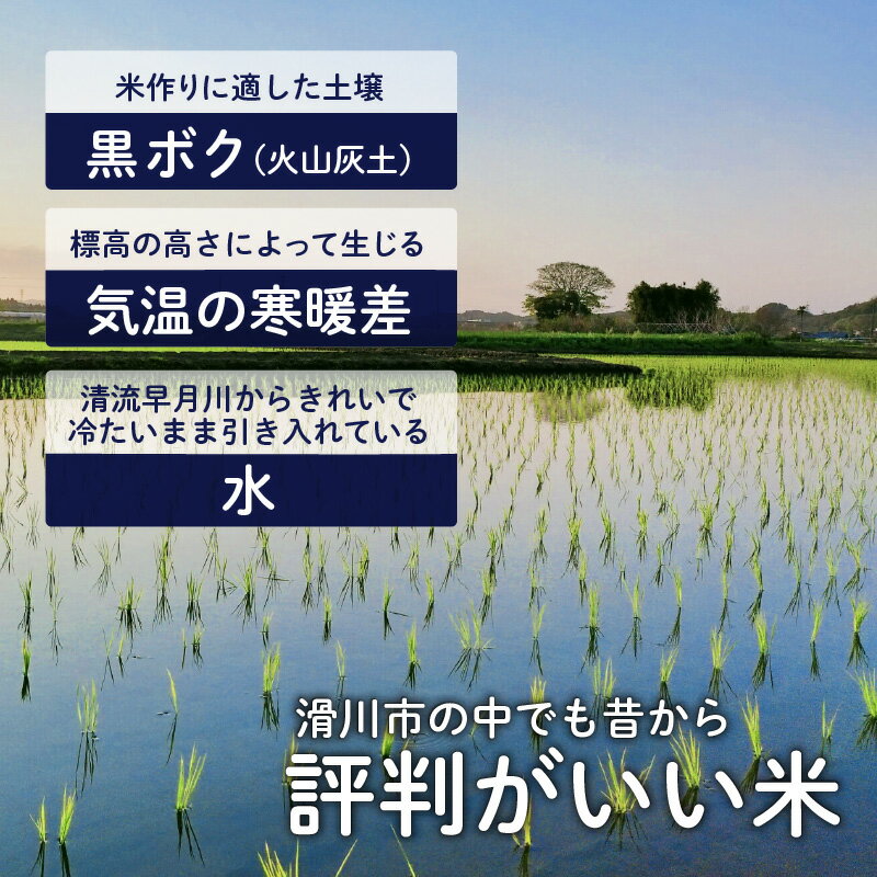 【ふるさと納税】【先行予約】【新米】滑川産コシヒカリ（精米5kg）25年10月以降順次配送予定 / 一等米 産地直送 袋 かわいい こしひかり おにぎり お米 白米 国産 ご飯 ごはん 富山県 滑川市