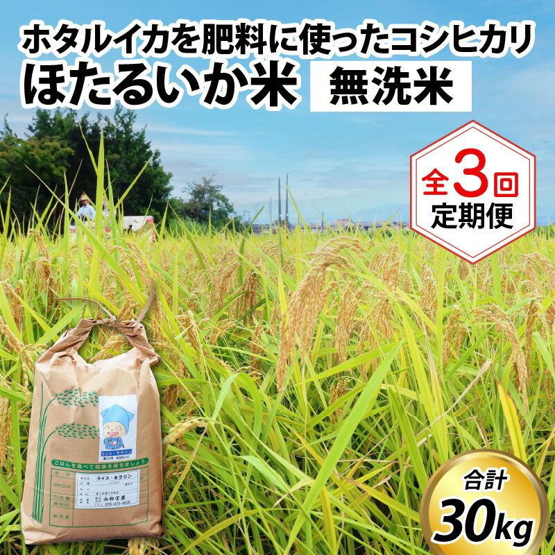 【ふるさと納税】【訳あり】米 定期便 10kg 3ヶ月 連続お届け 計30kg コシヒカリ ほたるいか米（無洗米10kg）×3回 計30kg【3ヶ月定期便】 / 農家直送 訳あり お米 おこめ こしひかり コシヒカリ ホタルイカ 蛍烏賊 富山県 滑川市 オリジナル米 国産 送料無料