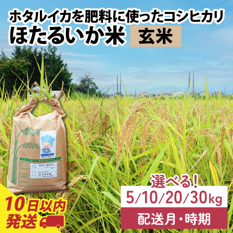お米30キロ 農家直送 人気のおすすめ商品・口コミをみる-ミツケヨ お米30キロ 農家直送 人気のおすすめ商品・口コミをみる-ミツケヨ