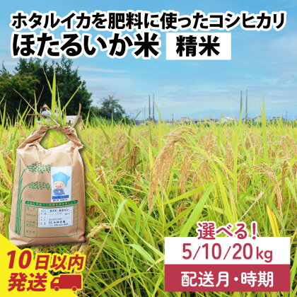 【訳あり】ほたるいか米（精米）選べる容量（5kg／10kg／20kg）選べる配送時期（1月～9月※各月上旬／中旬／下旬）【通年発送】 / 農家直送 訳あり お米 おこめ こしひかり コシヒカリ ホタルイカ 蛍烏賊 富山県 滑川市 オリジナル米 国産 送料無料