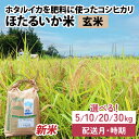 【ふるさと納税】【先行予約 新米】ほたるいか米(玄米)選べる容量(5kg/10kg/20kg/30kg)25年10月以降順次配送予定 選べる配送時期(上旬/中旬/下旬) / 農家直送 訳あり お米 おこめ こしひかり コシヒカリ ホタルイカ 富山県 滑川市 コメ