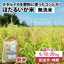【ふるさと納税】【先行予約】【新米】ほたるいか米(無洗米)選べる容量(5kg/10kg/20kg)25年10月以降順次配送予定 選べる配送時期(※各月上旬/中旬/下旬) / 農家直送 訳あり お米 おこめ こしひかり コシヒカリ ホタルイカ 富山県 滑川市 コメ 国産