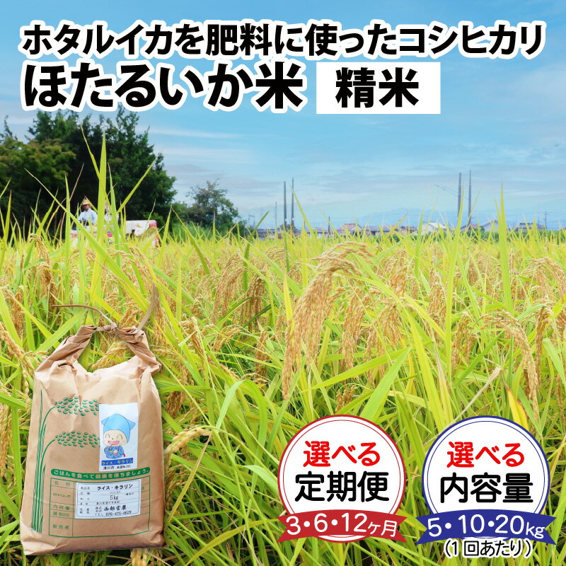 20位! 口コミ数「1件」評価「5」【訳あり】米 定期便 コシヒカリ ほたるいか米（精米）選べる定期便（3ヶ月／6ヶ月／12ヶ月）選べる1回あたりの内容量（5kg／10kg／2･･･ 