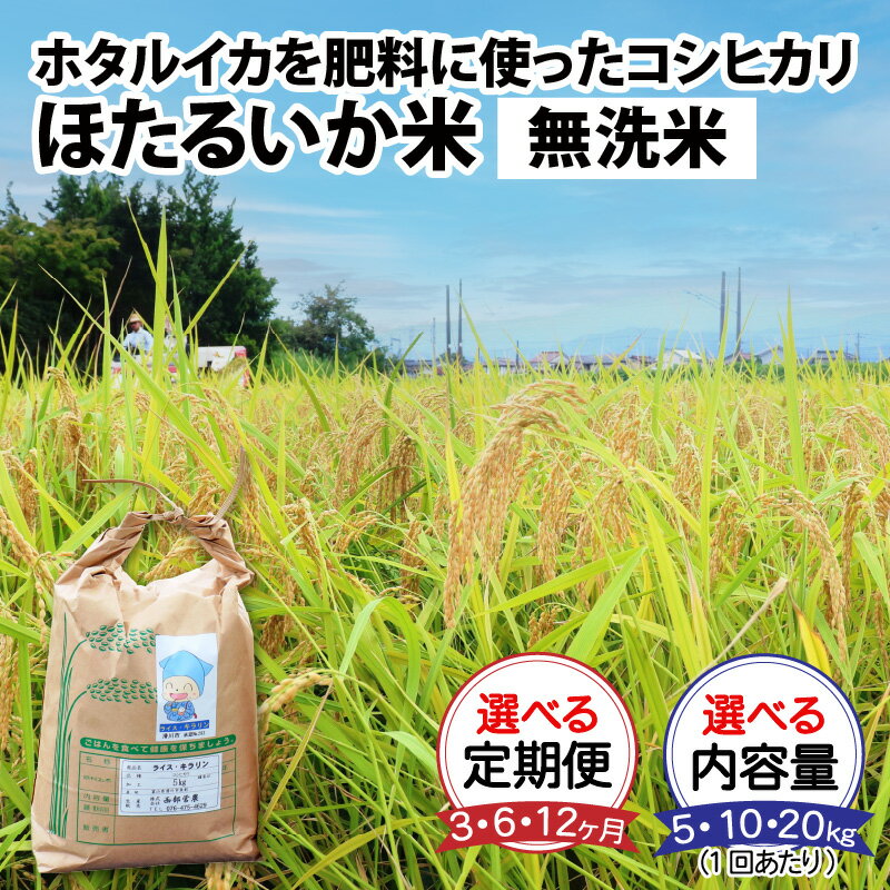 37位! 口コミ数「0件」評価「0」【訳あり】米 定期便 コシヒカリ ほたるいか米（無洗米）選べる定期便（3ヶ月／6ヶ月／12ヶ月）選べる1回あたりの内容量（5kg／10kg／･･･ 