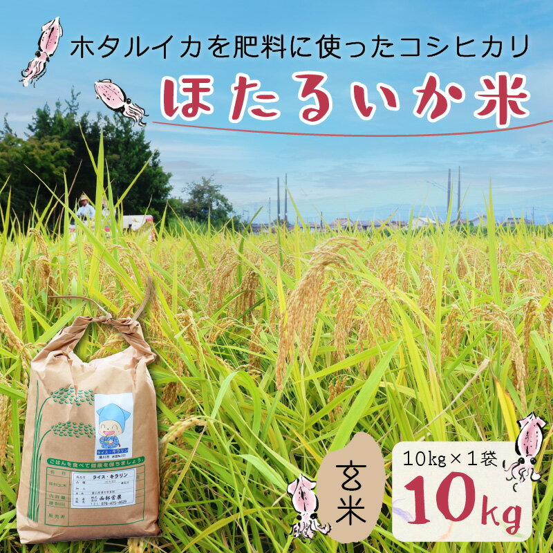 【ふるさと納税】【先行予約】【新米】ほたるいか米（新米/玄米10kg）【令和5年10月以降発送開始予定】 / 農家直送 訳あり お米 おこめ こしひかり コシヒカリ ホタルイカ 蛍烏賊 富山県 滑川市 オリジナル米 国産 送料無料