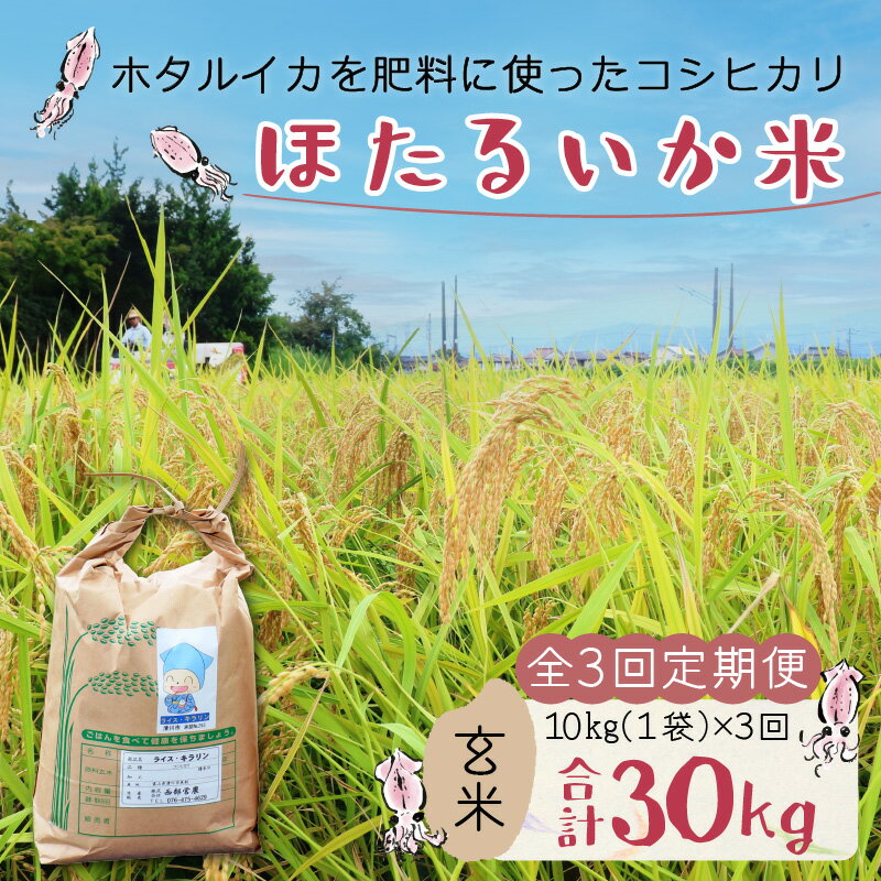 【ふるさと納税】【訳あり】 米 定期便 10kg 3ヶ月 連続お届け 計30kg コシヒカリ ほたるいか米（玄米10kg）×3回 計30kg【3ヶ月定期便】 / 農家直送 訳あり お米 おこめ こしひかり コシヒカリ ホタルイカ 蛍烏賊 富山県 滑川市 オリジナル米 国産 送料無料