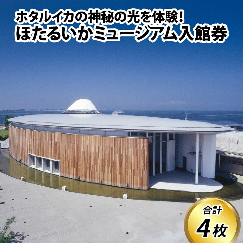 14位! 口コミ数「0件」評価「0」ほたるいかミュージアム入館券 【能登半島地震復興支援】/ 4枚 水族館 博物館 観光 体験型 子供 大人 老若男女 家族旅行 ファミリー 富･･･ 