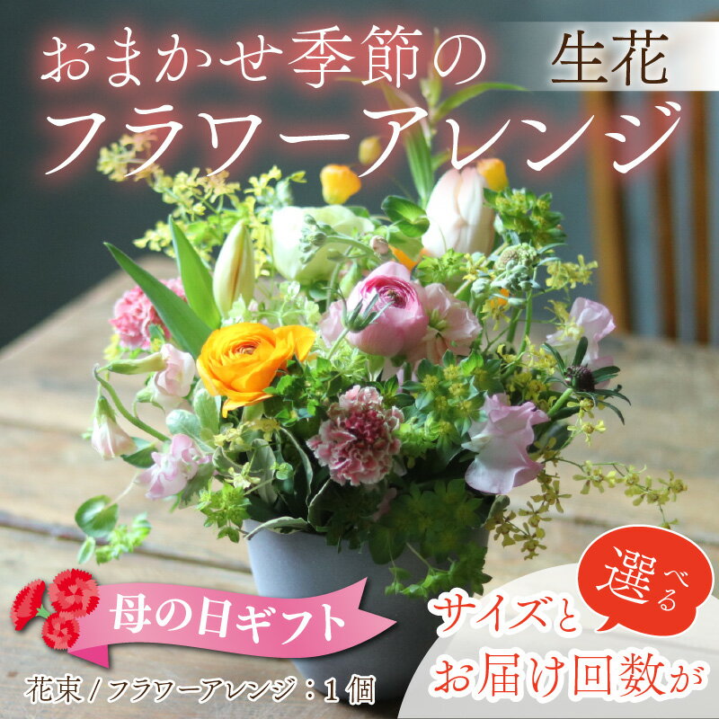 【ふるさと納税】お花 ギフト 母の日 季節のフラワーアレンジ（生花）サイズとお届け回数が選べる / プレゼント お祝い 米寿 金婚式 結婚祝い 冬 フラワーギフト フラワーアレンジメント 花束 カゴ かご バスケット 誕生花 花屋 植物 おしゃれ かわいい 富山県 滑川市