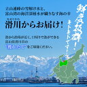 富山県滑川市の画像3