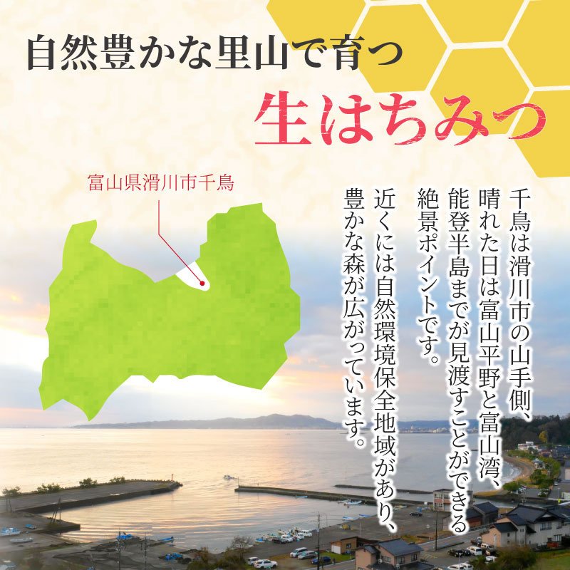 【ふるさと納税】【先行予約】生はちみつ　180g×2本 / お歳暮 クリスマス 蜂蜜 百花 非加熱 国産 ギフト 贈答用 プレゼント レモン 紅茶 梅干し 富山県 滑川市