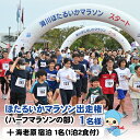 楽天富山県滑川市【ふるさと納税】2024年10月13日（日）ほたるいかマラソン（ ハーフマラソンの部）出走権＋海老源1名　1泊2食　夕朝食事付 / マラソン大会 スポーツ 運動 秋 宿泊 旅館 観光 旅行 体験 富山県 滑川市