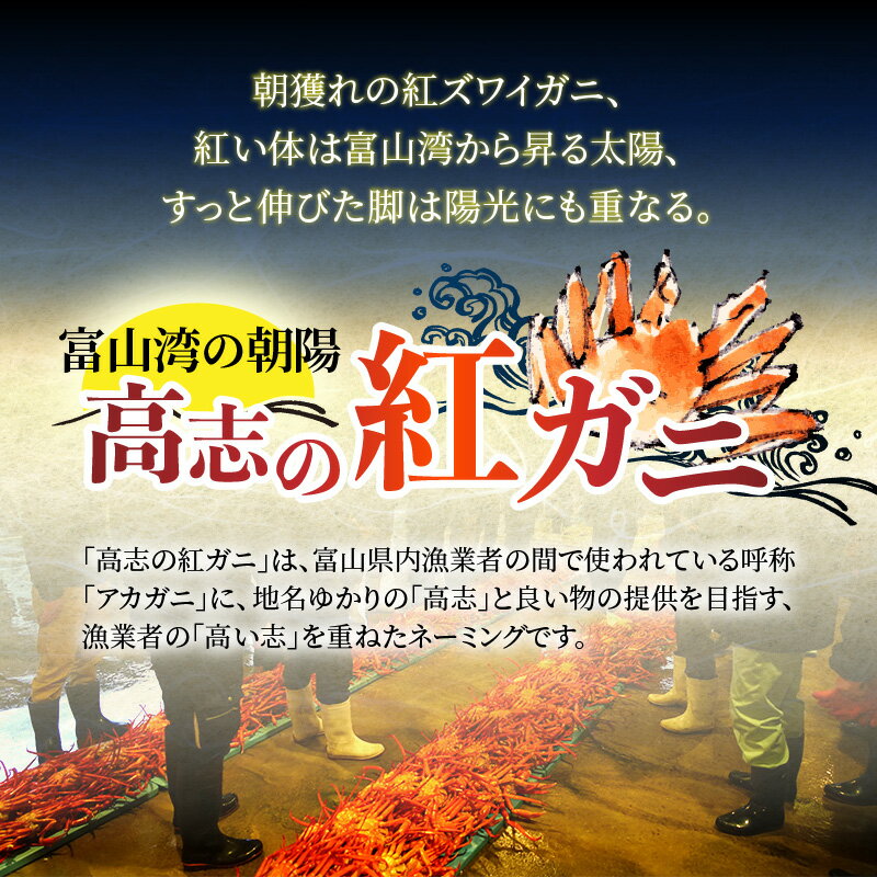 【ふるさと納税】【先行予約】紅ズワイガニ 甲羅盛り 高志の紅ガニの甲羅盛り2杯 カニ酢、カニ飯用の出汁付 【25年11月中旬より順次発送】 [B-042002] / 割烹旅館 紅ズワイガニ ベニズワイガニ かに酢 だし汁 付き 甲羅盛り ずわい ズワイ蟹 ずわいがに ずわい蟹 滑川市