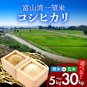 【ふるさと納税】【先行予約】新米 富山湾一望米 コシヒカリ【選べる玄米・精米】【選べる容量5kg~30kg】【2025年10月より順次発送】農家直送 米 定期便 選べる 玄米/精米 10kg 富山県滑川産 産地直送 袋 ブランド米 お米 白米 こしひかり 5kg 10kg 15kg 30kg おこめ 富山