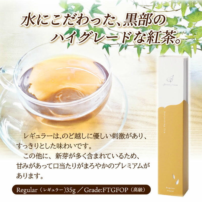 【ふるさと納税】 グレイスピースティー 紅茶「レギュラー」（35g×1個） / 富山県 黒部市