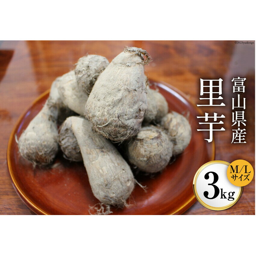 【ふるさと納税】富山県産 里芋 3kg/くろべの太陽/富山県 黒部市　【 野菜 根菜 】　お届け：2024年11月中旬以降より順次出荷となります。配送終了予定は2025年4月中旬頃までです。