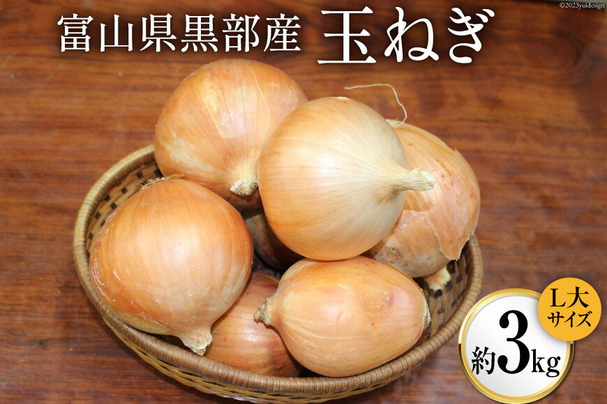 【ふるさと納税】玉ねぎ 1箱 約3kg（L大サイズ）/くろべの太陽/富山県 黒部市　【 野菜 たまねぎ タマネギ 】　お届け：2023年7月上旬より順次出荷となります。※寄附申込がお盆・連休前後の場合や寄附申込が集中した場合は、お届けまでお待たせすることがございます。