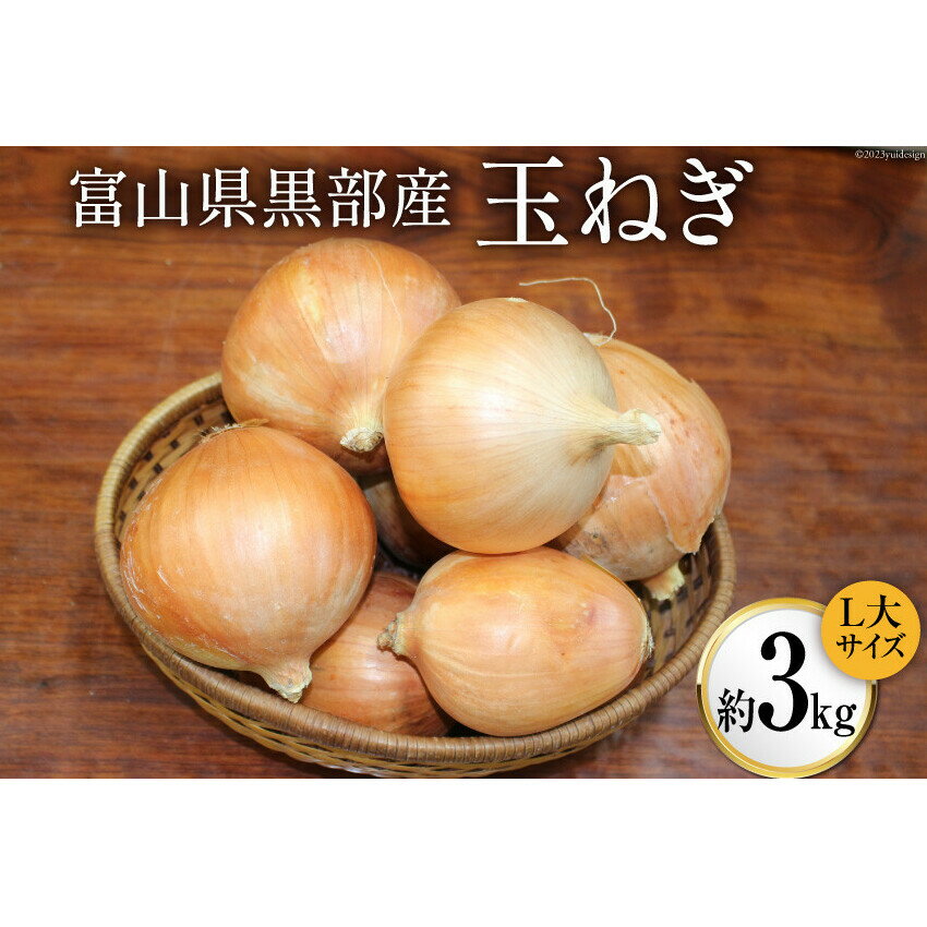 【ふるさと納税】玉ねぎ 1箱 約3kg（L大サイズ）/くろべの太陽/富山県 黒部市　【 野菜 たまねぎ タマ...