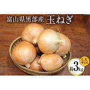 7位! 口コミ数「0件」評価「0」玉ねぎ 1箱 約3kg（L大サイズ）/くろべの太陽/富山県 黒部市　【 野菜 たまねぎ タマネギ 】　お届け：2023年7月上旬より順次出荷･･･ 